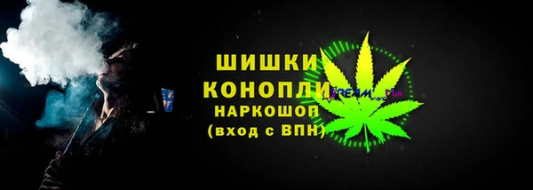 прущие грибы Каменка