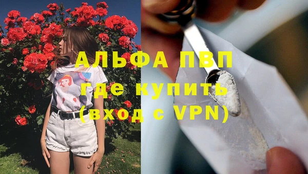 прущие грибы Каменка