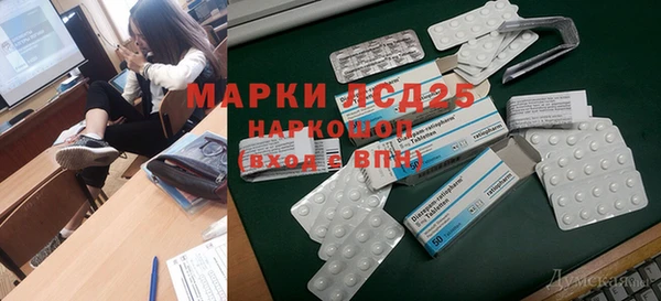 прущие грибы Каменка