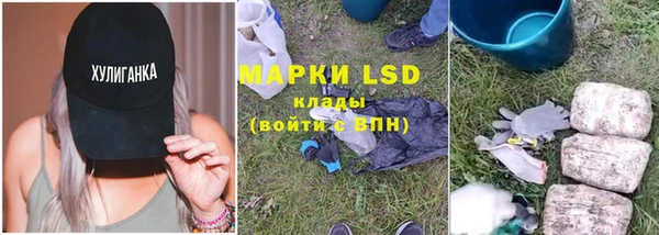 прущие грибы Каменка