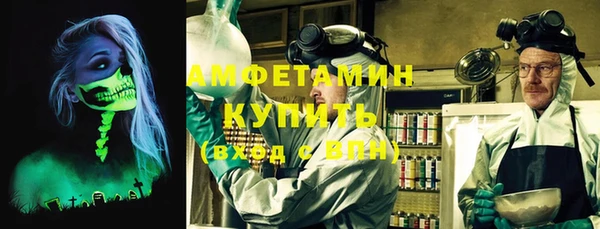 прущие грибы Каменка