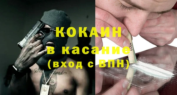 прущие грибы Каменка