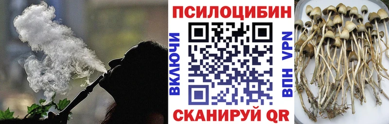 Псилоцибиновые грибы ЛСД  Архангельск 