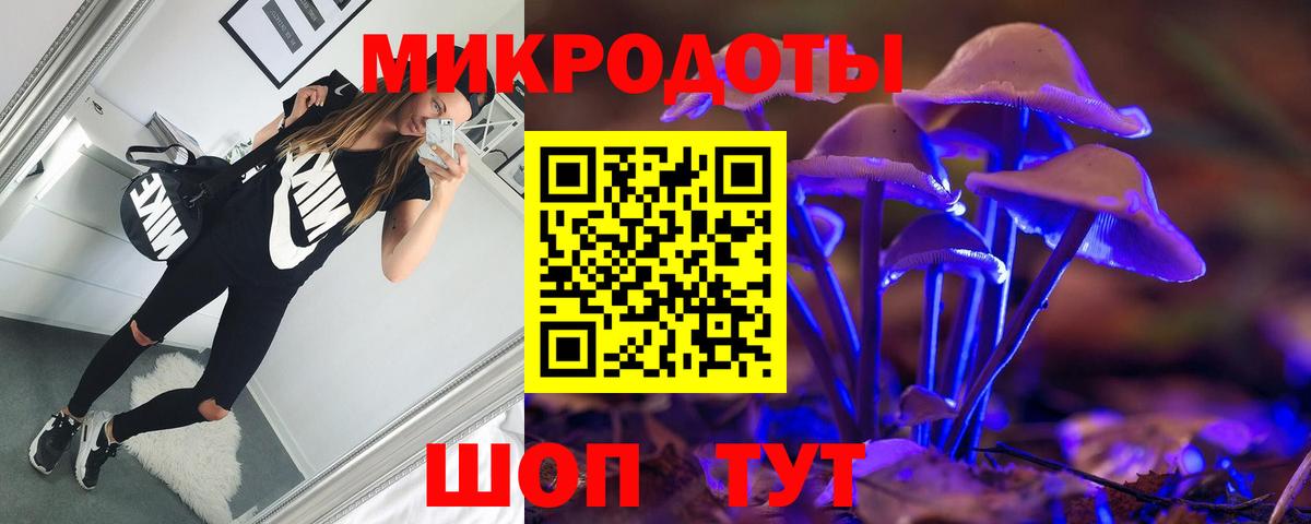 Псилоцибиновые грибы Cubensis  Вход с VPN  Архангельск 