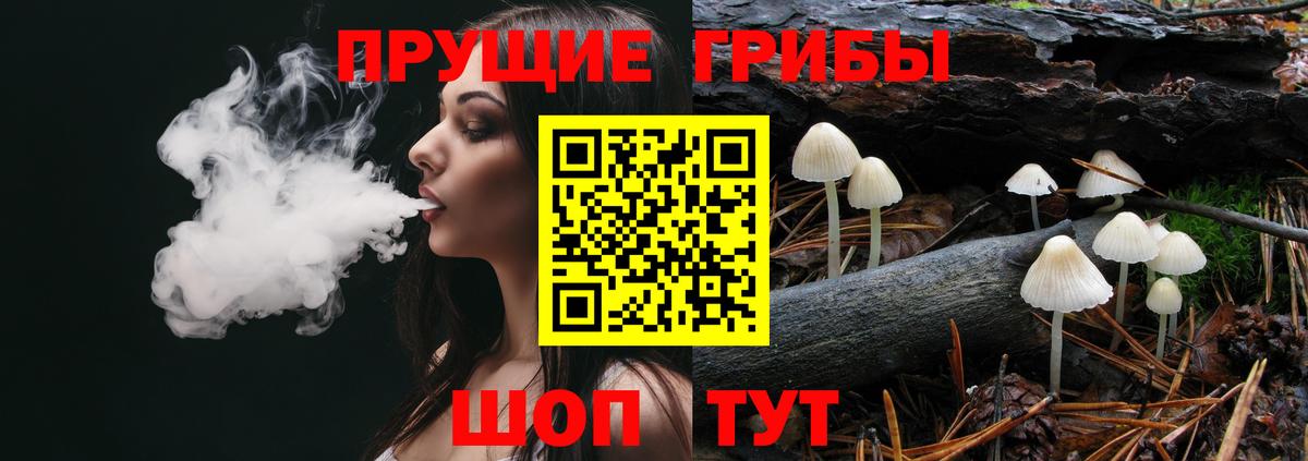 Галлюциногенные грибы мухоморы  Архангельск  Псилоцибиновые грибы мухоморы 