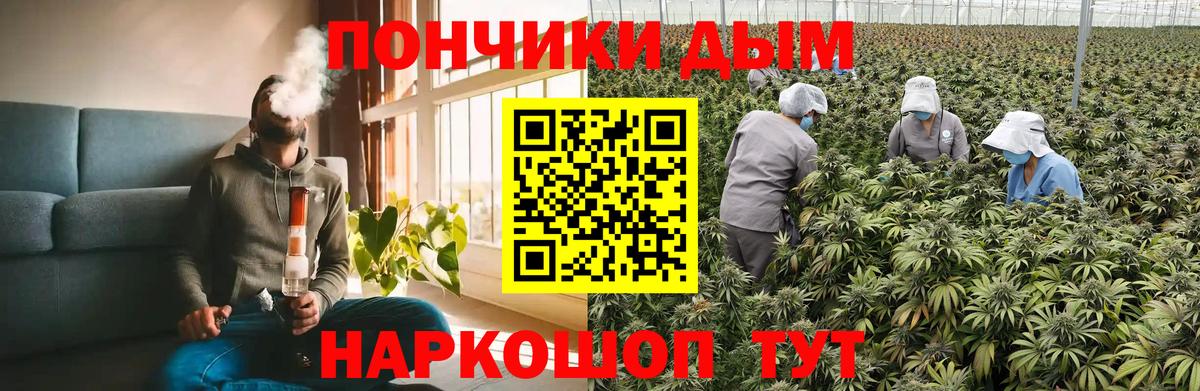 Канабис Bruce Banner Архангельск